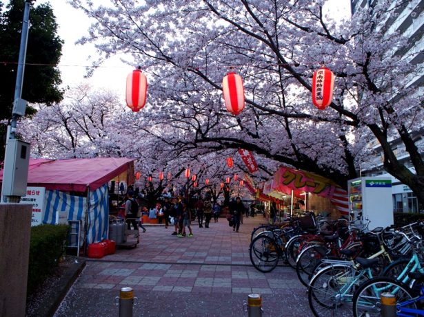 桜が見ごろの夕暮れ時、西鉄久留米駅周辺を気ままに歩く【レトロ建築めぐり】