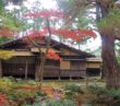 紅葉が見頃の清水園の庭園（11月訪問）-新潟県・新発田駅から歩く